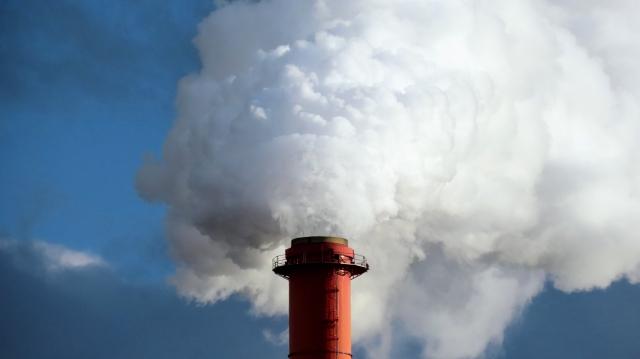 業務用焼却炉の導入事例と成功ポイント