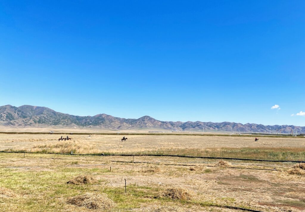 重金属汚染がある土壌の調査費用と対策フロー 補助金を活用した解決策