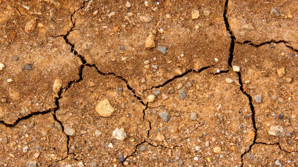 土壌汚染が自然由来なら費用は抑えられる？判定基準と調査の手順を解説