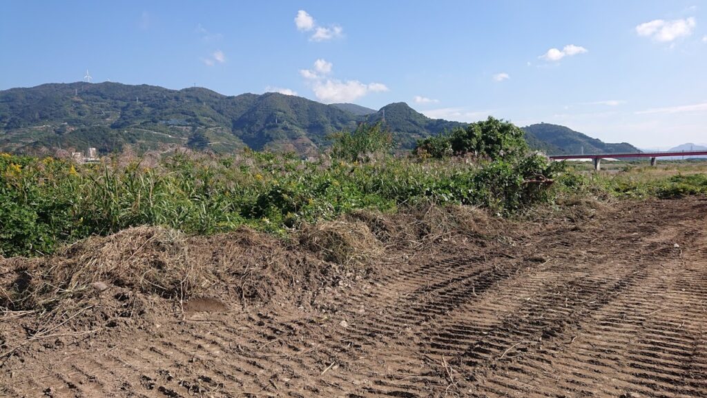 土壌汚染のカドミウム基準と原因を解説 改正後の数値や対策事例を紹介