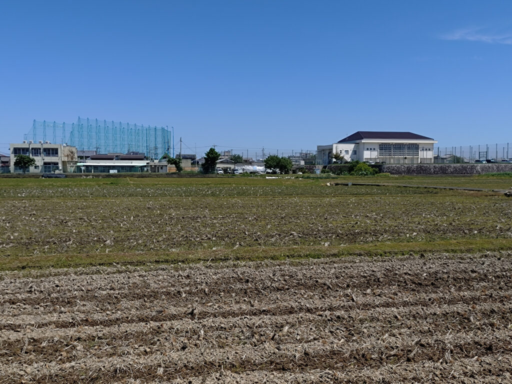 自分で土壌分析を行う方法と市販キットの選び方目的別の正しい対処法